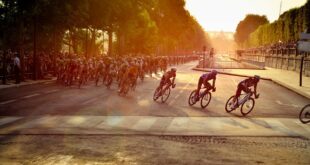 cyclists 601591 1280