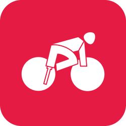 icon Para Radsport 250px