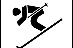 icon ski alpin schwarz auf weiss 250px 2
