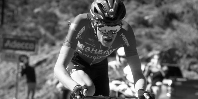 bettiniphoto 0492139 1 2000px 1400x700